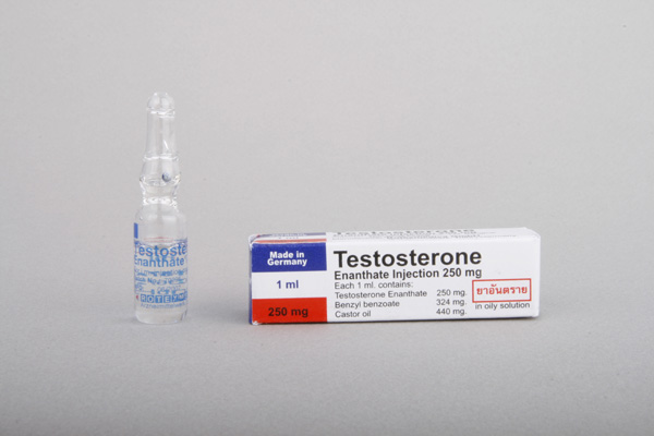 Testosterone Enanthate Bayer - RealSteroids.Co